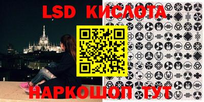 прущие грибы Будённовск
