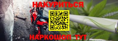 прущие грибы Будённовск