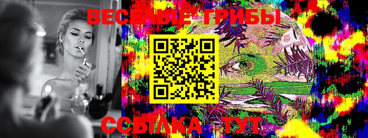 Новоалтайск  Галлюциногенные грибы Magic Shrooms  Вход с VPN 